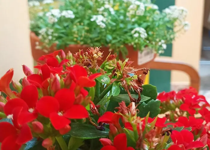 Vandrerhjem Allegro Santander