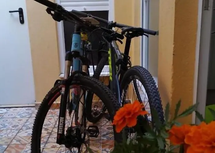 阿勒格洛旅馆 旅馆